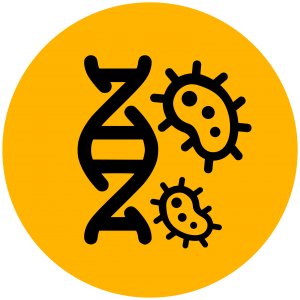 Whole genome sequencing